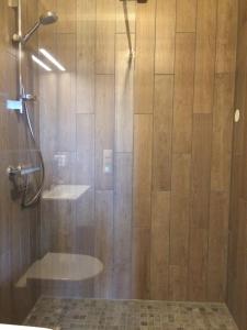NoresundNorefjell Panorama的浴室里设有玻璃门淋浴