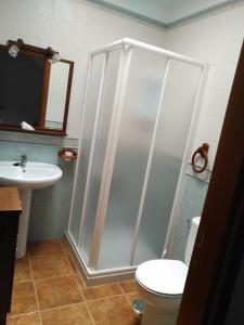 法马拉Casa la Caleta的带淋浴的浴室(带卫生间和水槽)