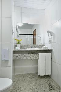 里贝朗普雷托Hotel Vilage Inn Ribeirão Preto & Convenções的一间带水槽、卫生间和镜子的浴室