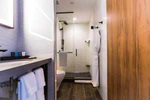 纽约曼哈顿中城皇冠假日酒店&度假村HY36的一间带水槽、卫生间和淋浴的浴室