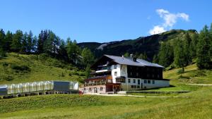 TauplitzalmHotel Alpen Arnika的火车旁的山丘上的建筑