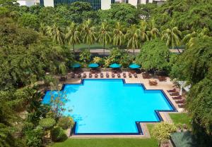 科伦坡肉桂大科伦坡酒店的享有棕榈树大型游泳池的顶部景致