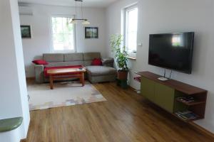 苏希采Ubytování u Zámku的带沙发和平面电视的客厅