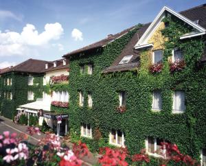 格平根霍恩斯陶芬酒店的街道旁的一座被绿色常春藤覆盖的建筑