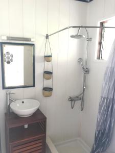 拉萨尔勒班Les Porcelaines的一间带水槽、镜子和淋浴的浴室