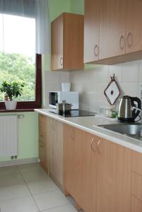 克拉科夫Apartment AMUR的厨房配有木制橱柜、水槽和窗户。
