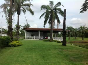 甲米镇高尔夫球练习场棕榈度假酒店的庭院前有棕榈树的房子