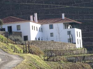 Ervedosa do DouroQuinta da Gricha的相册照片