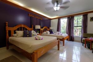 霍普金斯博卡维纳雨林度假村的卧室设有两张床,拥有紫色的墙壁和窗户。