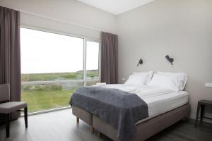 Stapi阿纳斯塔皮酒店的一间卧室设有一张床和一个大窗户