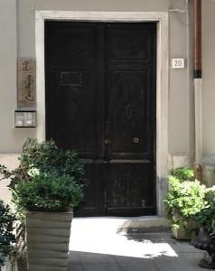 文蒂米利亚菲诺利奥住宿加早餐旅馆的前面有两棵盆栽植物的黑色门