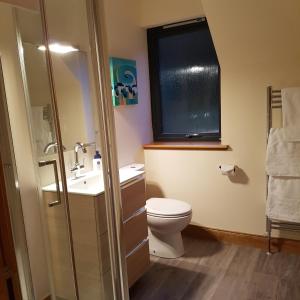 德拉姆纳德罗希特Kilmichael House的一间带卫生间、水槽和窗户的浴室