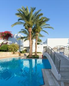 依克希亚阿夫拉海滩度假酒店的一座带桥梁和棕榈树的游泳池