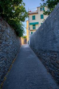 克里日亚Madüneta 5 Terre的一条小巷,在石墙后面建有建筑