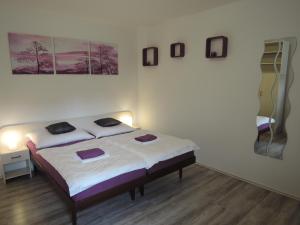 捷克克鲁姆洛夫格瑞塔民宿酒店的一间卧室配有一张带两个枕头的床