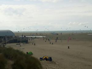 SommelsdijkBed en Breakfast en Bike的一群在海滩上飞风筝的人