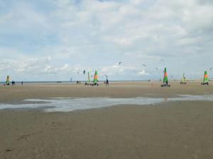 SommelsdijkBed en Breakfast en Bike的一群在海滩上飞风筝的人