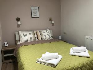 沙罗什保陶克Origo Vendégház的一间卧室配有绿床和毛巾
