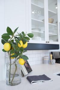 耶洛奈夫Aurora deluxe Guest House的厨房里一个装满柠檬的花瓶