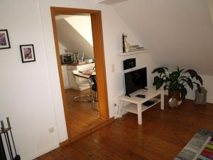 施派尔科拉赤莫公寓的客厅配有电视和植物桌子