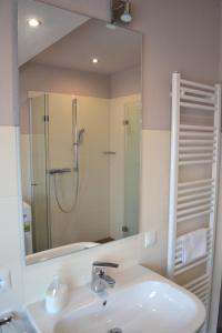 霍鲁梅尔希尔Steuerbord的一间带水槽、淋浴和镜子的浴室