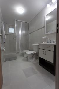 科帕韦Aparthotel Aldea Termal的浴室配有卫生间、淋浴和盥洗盆。