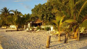 波拉波拉特曼努阿塔乡村酒店的棕榈树沙滩和度假村