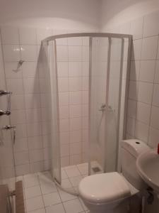 NavininkaiGazdų Vandens Malūnas的带淋浴、卫生间和盥洗盆的浴室