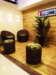 里约热内卢桑塔纳市区酒店的一个房间,有三个柳条凳子和植物