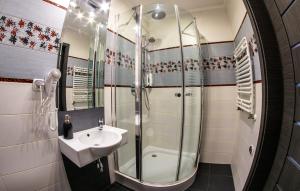 科沙林中心公寓的一间带水槽和淋浴的浴室
