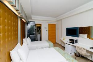 海若克利欧卡斯特罗酒店的酒店客房配有两张床和一张书桌