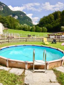 BrienzwilerEichhof Brienzwiler Berner Oberland的一个带椅子的游泳池