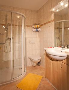 塔克森巴赫Pension Schwab的带淋浴、盥洗盆和卫生间的浴室