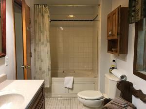 费尔班克斯盖布尔斯宾馆的浴室配有卫生间、淋浴和盥洗盆。