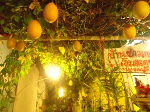 北碧班山民宿的一堆挂在植物上的橙子