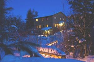 大急流城Poplar Creek Guesthouse的夜晚在雪中点亮的房子