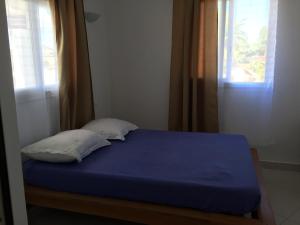 阿姆巴托洛阿卡Villa Violette的一张带两个枕头的蓝色床和窗户