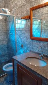 卢米亚Casa Temporada em Lumiar的一间带水槽、卫生间和镜子的浴室