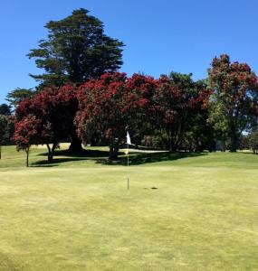 芒格努伊山Mauao Studio的一座种有红树和旗帜的高尔夫球场