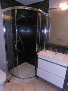 布里昂松Le chalet的带淋浴和盥洗盆的浴室