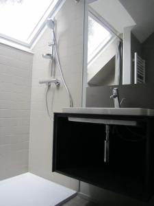 布鲁塞尔五十周年纪念海岸住宿加早餐酒店的浴室配有盥洗盆和带镜子的淋浴