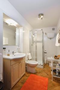 蒙特普齐亚诺Alberto Charming Home的一间带水槽、卫生间和淋浴的浴室