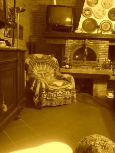 弗利B&B ANNA的客厅配有椅子和壁炉