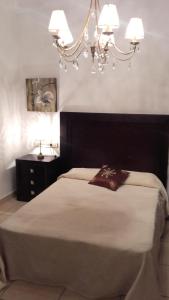科尔多瓦Villa Rosa Amparo的一间卧室配有一张大床和一个吊灯。