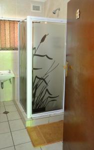 德班Acquila Guest House的浴室里设有玻璃门淋浴