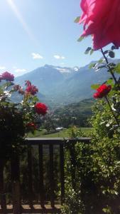 梅拉诺施瓦兹拉特霍夫旅馆的享有种满鲜花和山脉的山谷美景。