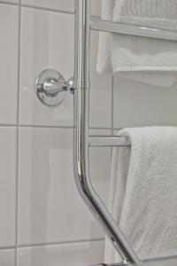 菲奈斯达伦艾利克斯加登斯山区酒店的浴室内带毛巾的玻璃淋浴间