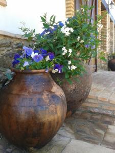 CortelazorFinca El Chaparral的两只大花瓶,花朵蓝色,花朵白色