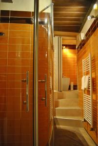 皮斯托亚Appartamento i Fabbri的设有带步入式淋浴间和盥洗盆的浴室