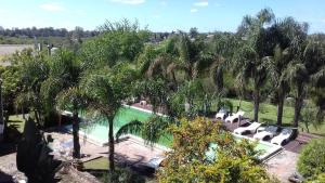 拉巴斯Hotel La Cautiva de Ramirez的享有棕榈树游泳池的顶部景致